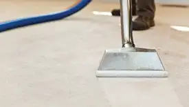 Carpet cleaning wand head gliding over a light carpet during hot-water extraction, Chandler, AZ.