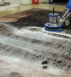 Professional rug cleaning with a rotary floor machine and shampoo foam, deep-cleaning an area rug Chandler, AZ.